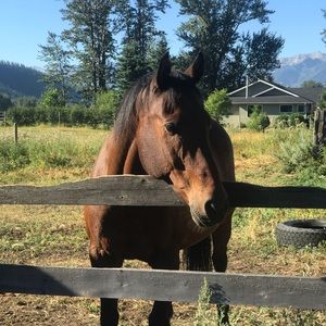 Meet your Posher, Lucia